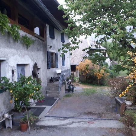 Domaine De La Safraniere - Chambre D'Hote Saint-Léger Kültér fotó