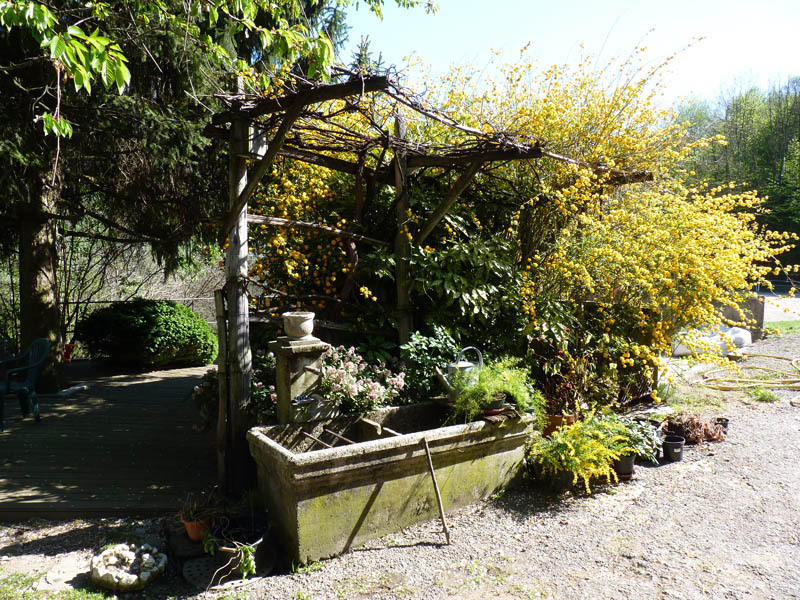 Domaine De La Safraniere - Chambre D'Hote Saint-Léger Kültér fotó