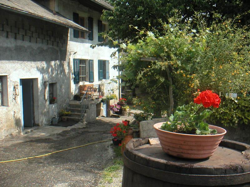 Domaine De La Safraniere - Chambre D'Hote Saint-Léger Kültér fotó