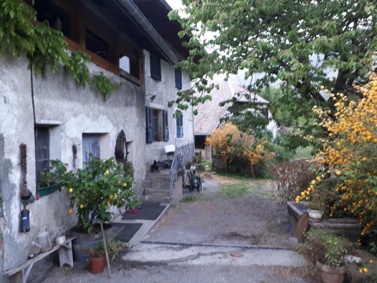 Domaine De La Safraniere - Chambre D'Hote Saint-Léger Kültér fotó